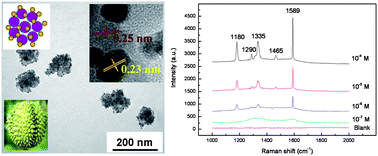 Graphical abstract: Durian-like multi-functional Fe3O4–Au nanoparticles: synthesis, characterization and selective detection of benzidine