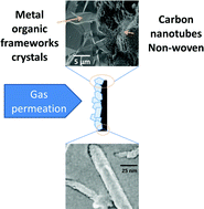 Graphical abstract: Seeded growth of ZIF-8 on the surface of carbon nanotubes towards self-supporting gas separation membranes