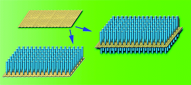 Graphical abstract: ZnO nanorods on reduced graphene sheets with excellent field emission, gas sensor and photocatalytic properties
