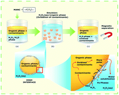 Graphical abstract: Biphasic oxidation promoted by magnetic amphiphilic nanocomposites undergoing a reversible emulsion process