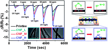 Graphical abstract: WO3 nanonodule-decorated hybrid carbon nanofibers for NO2 gas sensor application