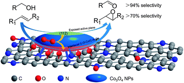 Graphical abstract: A sandwich N-doped graphene/Co3O4 hybrid: an efficient catalyst for selective oxidation of olefins and alcohols