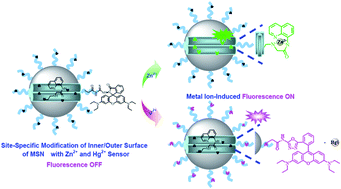 Graphical abstract: Selective fluorescence sensing of Hg2+ and Zn2+ ions through dual independent channels based on the site-specific functionalization of mesoporous silica nanoparticles