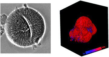 Graphical abstract: Study on the synthesis–microstructure-performance relationship of layered Li-excess nickel–manganese oxide as a Li-ion battery cathode prepared by high-temperature calcination