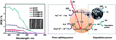 Graphical abstract: One step fabrication of C-doped BiVO4 with hierarchical structures for a high-performance photocatalyst under visible light irradiation