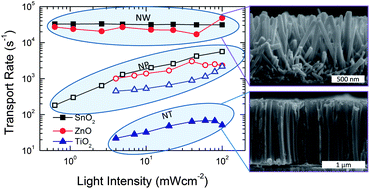 Graphical abstract: The influence of 1D, meso- and crystal structures on charge transport and recombination in solid-state dye-sensitized solar cells