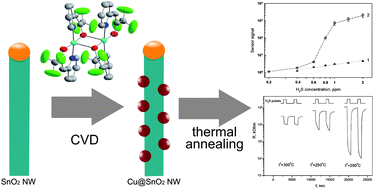 Graphical abstract: One-dimensional CuO–SnO2 p–n heterojunctions for enhanced detection of H2S
