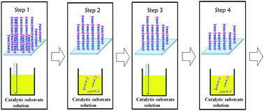 Graphical abstract: The structure and coordinative self-assembly of films based on a palladium compound of pyridyl-acetylene platinum and its application in Suzuki and Heck coupling reactions