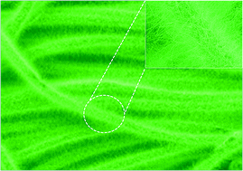 Graphical abstract: SnO2@Si core–shell nanowire arrays on carbon cloth as a flexible anode for Li ion batteries