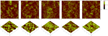 Graphical abstract: Influence of a polyelectrolyte based-fluorene interfacial layer on the performance of a polymer solar cell