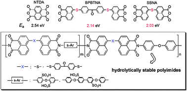 Graphical abstract: Enhanced hydrolytic stability of sulfonated polyimide ionomers using bis(naphthalic anhydrides) with low electron affinity