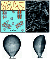 Graphical abstract: Self-assembly of cyclodextrin–oil inclusion complexes at the oil–water interface: a route to surfactant-free emulsions