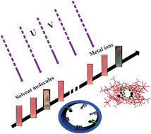 Graphical abstract: One-dimensional channel-structured Eu-MOF for sensing small organic molecules and Cu2+ ion
