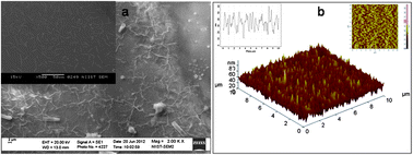 Graphical abstract: Effect of precursor particle size distribution on the morphology and low wetting behavior of photocatalytic nanocoatings on glass surfaces