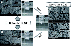 Graphical abstract: Switchable release and recovery of nanoparticles via a Pickering-emulsion-templated porous carrier