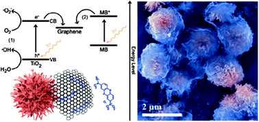 Graphical abstract: Graphene-wrapped hierarchical TiO2 nanoflower composites with enhanced photocatalytic performance