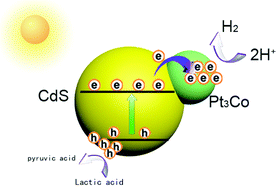 Graphical abstract: Pt3Co-loaded CdS and TiO2 for photocatalytic hydrogen evolution from water