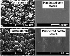 Graphical abstract: Progress in bio-based plastics and plasticizing modifications