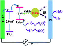 Graphical abstract: Carbon quantum dots serving as spectral converters through broadband upconversion of near-infrared photons for photoelectrochemical hydrogen generation