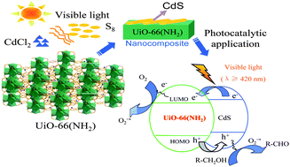 Graphical abstract: CdS-decorated UiO–66(NH2) nanocomposites fabricated by a facile photodeposition process: an efficient and stable visible-light-driven photocatalyst for selective oxidation of alcohols