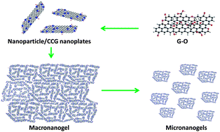 Graphical abstract: Solution-processable conductive micro-hydrogels of nanoparticle/graphene platelets produced by reversible self-assembly and aqueous exfoliation