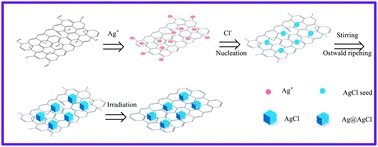 Graphical abstract: Morphology-controlled synthesis of sunlight-driven plasmonic photocatalysts Ag@AgX (X = Cl, Br) with graphene oxide template