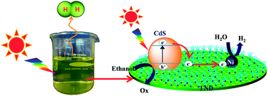 Graphical abstract: Design of water-soluble CdS–titanate–nickel nanocomposites for photocatalytic hydrogen production under sunlight
