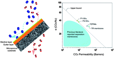 Graphical abstract: Highly permeable membrane materials for CO2 capture