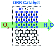 Graphical abstract: Nitrogen-doped graphene–vanadium carbide hybrids as a high-performance oxygen reduction reaction electrocatalyst support in alkaline media