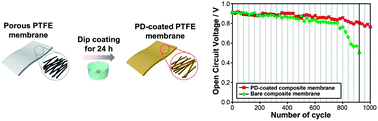 Graphical abstract: Mussel-inspired polydopamine-treated composite electrolytes for long-term operations of polymer electrolyte membrane fuel cells