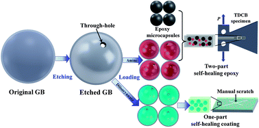 Graphical abstract: Etched glass bubbles as robust micro-containers for self-healing materials