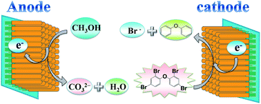 Graphical abstract: Tuning the electrochemical properties of a boron and nitrogen codoped nanodiamond rod array to achieve high performance for both electro-oxidation and electro-reduction