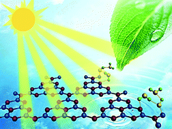 Graphical abstract: Surface hydrogen bonding can enhance photocatalytic H2 evolution efficiency