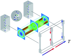 Graphical abstract: Bidirectional actuation of a thermoplastic polyurethane elastomer