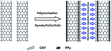 Graphical abstract: Highly dispersed carbon nanotube/polypyrrole core/shell composites with improved electrochemical capacitive performance