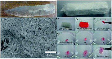 Graphical abstract: Super water absorbing and shape memory nanocellulose aerogels from TEMPO-oxidized cellulose nanofibrils via cyclic freezing–thawing