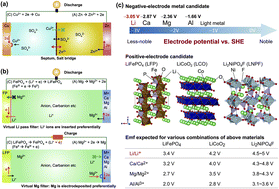 Graphical abstract: A concept of dual-salt polyvalent-metal storage battery