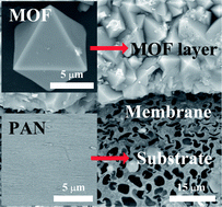 Graphical abstract: Stiff metal–organic framework–polyacrylonitrile hollow fiber composite membranes with high gas permeability