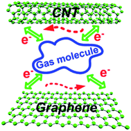 Graphical abstract: Nanocarbon-based gas sensors: progress and challenges
