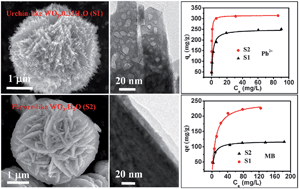 Graphical abstract: Controlled fabrication of hierarchical WO3 hydrates with excellent adsorption performance