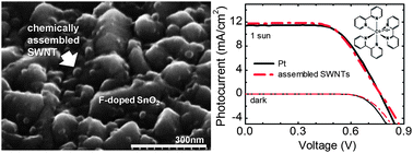 Graphical abstract: High electrocatalytic activity of low-loaded transparent carbon nanotube assemblies for CoII/III-mediated dye-sensitized solar cells