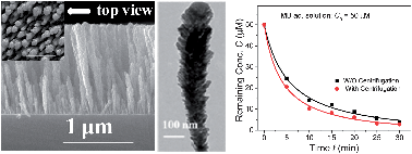 Graphical abstract: Superior dye adsorption capacity of amorphous WO3 sub-micrometer rods fabricated by glancing angle deposition