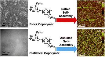 Graphical abstract: Influence of selenophene–thiophene phase separation on solar cell performance