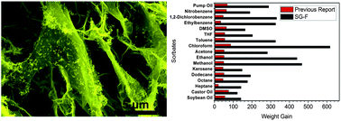 Graphical abstract: Highly enhanced performance of spongy graphene as an oil sorbent