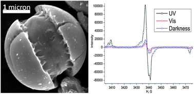 Graphical abstract: Facile preparation of nitrogen-doped nanostructured titania microspheres by a new method of Thermally Assisted Reactions in Aqueous Sprays