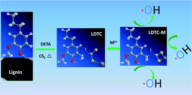 Graphical abstract: Dithiocarbamate functionalized lignin for efficient removal of metallic ions and the usage of the metal-loaded bio-sorbents as potential free radical scavengers