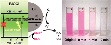 Graphical abstract: A Bi/BiOCl heterojunction photocatalyst with enhanced electron–hole separation and excellent visible light photodegrading activity