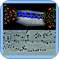 Graphical abstract: Few layer graphene decorated with homogeneous magnetic Fe3O4 nanoparticles with tunable covering densities