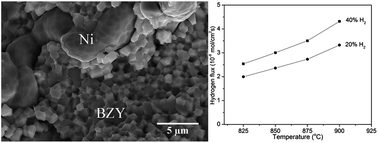 Graphical abstract: A sinteractive Ni–BaZr0.8Y0.2O3−δ composite membrane for hydrogen separation