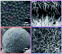 Graphical abstract: Ice-phobic gummed tape with nano-cones on microspheres